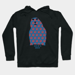 Phish Dick's Prairie Dog 2019 Hoodie